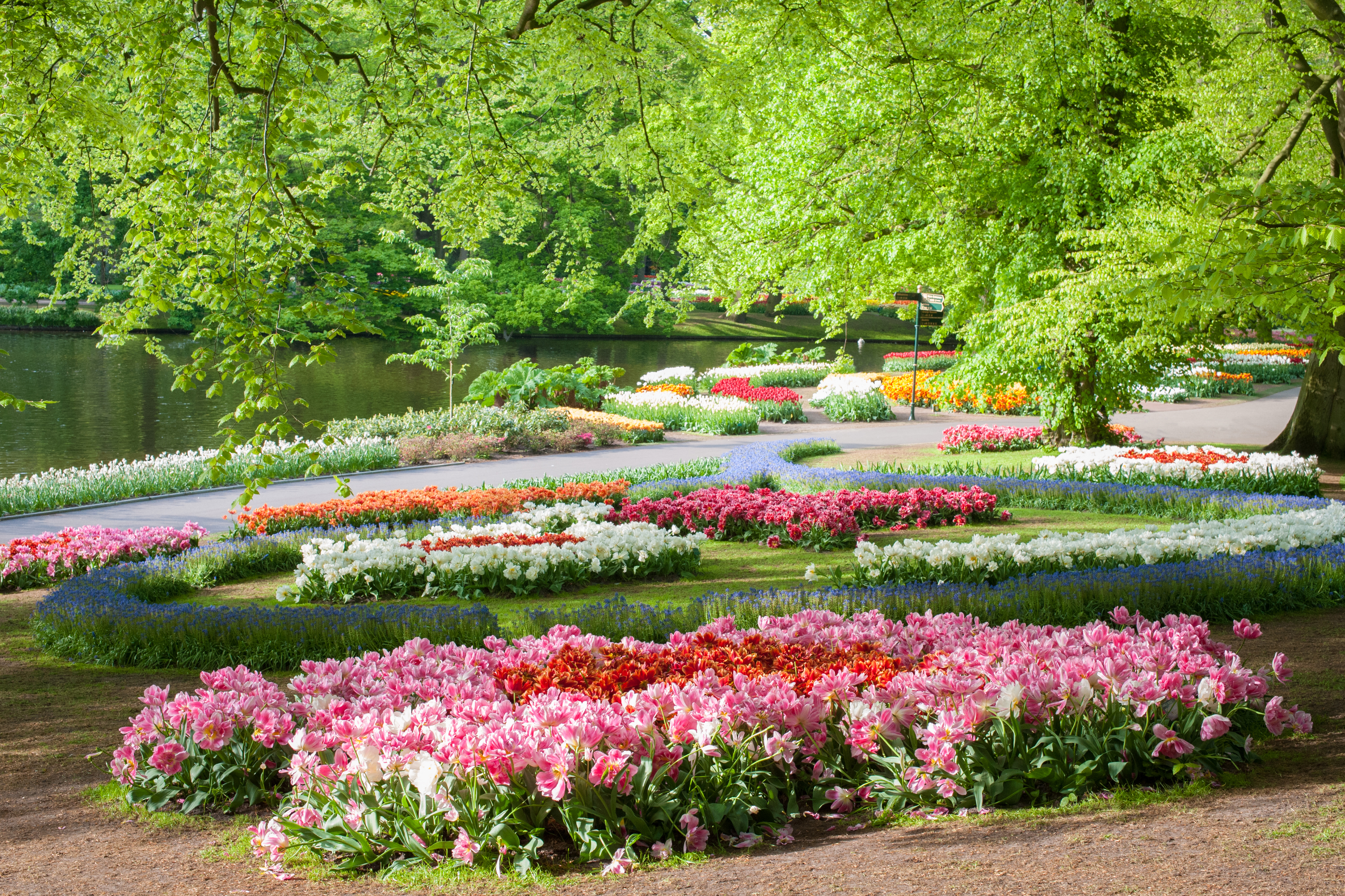 Keukenhof Gardens, Lisse, The Netherlands скачать